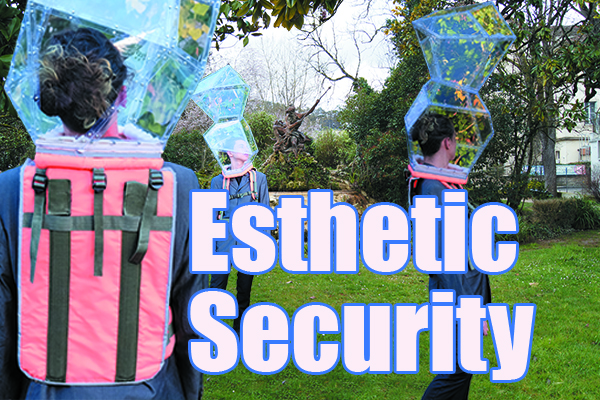 Esthetic Security